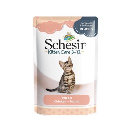 SCHESIR Petti di pollo in gelatina - cibo umido per gattini - 85g