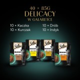 SHEBA Delicacy Frattaglie Sapori in gelatina - cibo umido per gatto - 40x85 g