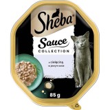 SHEBA Collezione salse Vitello in salsa leggera – cibo umido per gatti – 85g