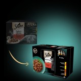 Sheba Selection in salsa sapori succulenti 12 x 85 g