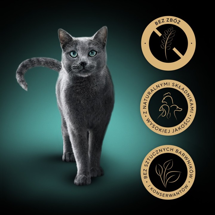 SHEBA Nature's Collection Aromi di Pollame in gelatina - cibo umido per gatti - 40 x 85g