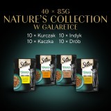 SHEBA Nature's Collection Aromi di Pollame in gelatina - cibo umido per gatti - 40 x 85g