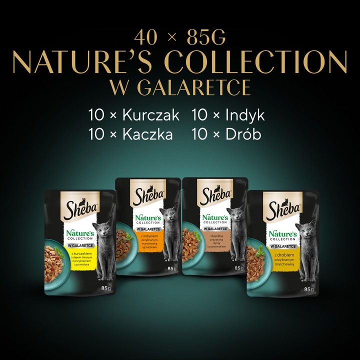 SHEBA Nature's Collection Aromi di Pollame in gelatina - cibo umido per gatti - 40 x 85g