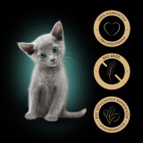SHEBA Kitten Selezione di Aromi in Salsa - cibo umido per gatti - 40x85 g