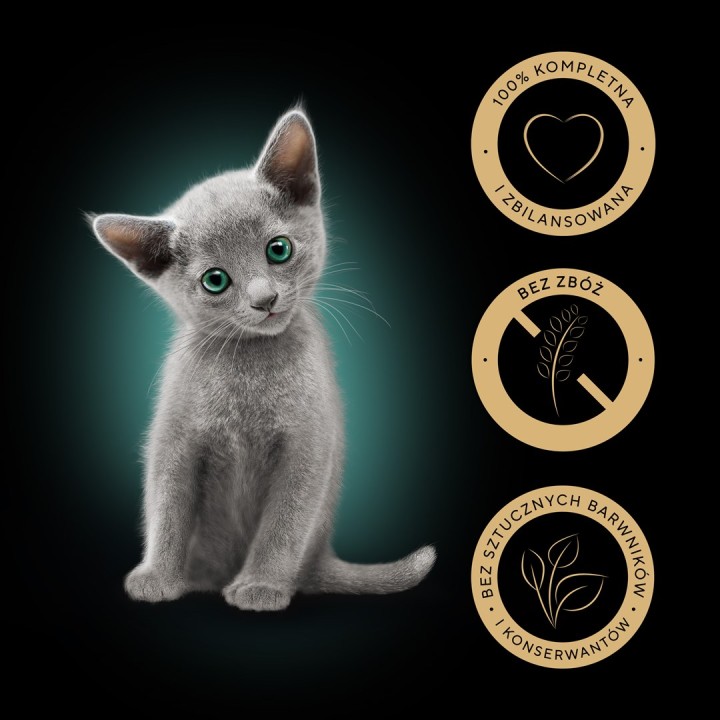 SHEBA Kitten Selezione di Aromi in Salsa - cibo umido per gatti - 40x85 g