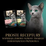 SHEBA Kitten Selezione di Aromi in Salsa - cibo umido per gatti - 40x85 g