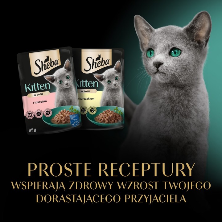 SHEBA Kitten Selezione di Aromi in Salsa - cibo umido per gatti - 40x85 g