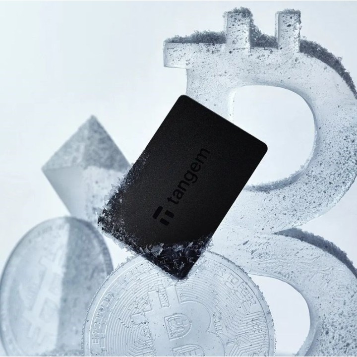 Tangem Portafoglio portafoglio criptovalute - 2 carte