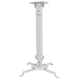 Techly Staffa di estensione per soffitto proiettore 545-900 mm argento ICA-PM 18M