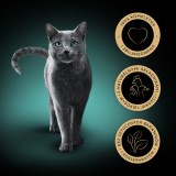 SHEBA Selection Select Fettine Aromi di Pollame - cibo umido per gatti - 40 x 85g