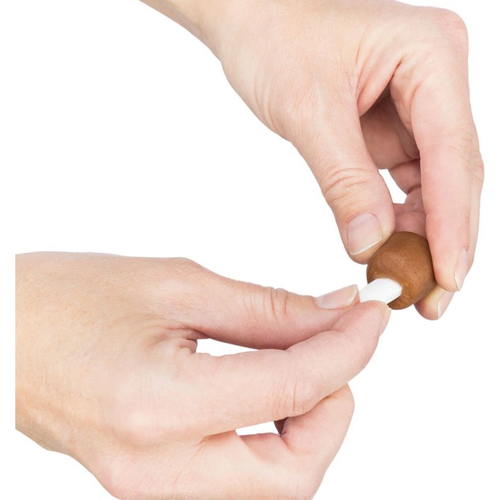 TRIXIE 25841 - Snack per cani - 100 g
