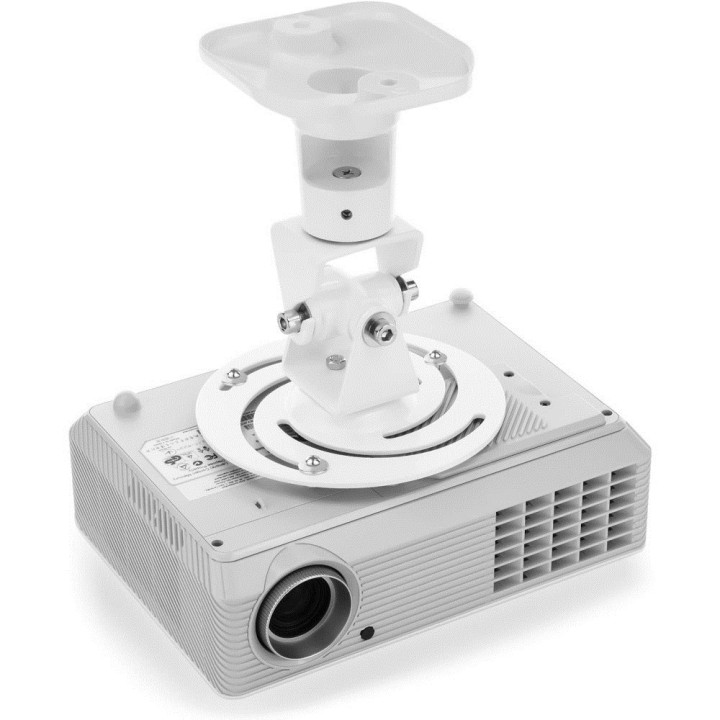 Techly Staffa universale per proiettore bianca ICA-PM 100WH