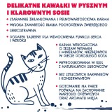 TEO Ricco di manzo - cibo umido per gatti - 850g