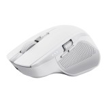 Trust Ozaa+ mouse ufficio destrorso RF Wireless + Bluetooth ottico 3200 DPI