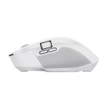 Trust Ozaa+ mouse ufficio destrorso RF Wireless + Bluetooth ottico 3200 DPI
