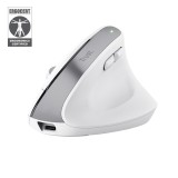 Trust Bayo+ mouse ufficio destrorso RF wireless + Bluetooth ottico 2400 DPI