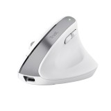 Trust Bayo+ mouse ufficio destrorso RF wireless + Bluetooth ottico 2400 DPI