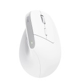 Trust Bayo+ mouse ufficio destrorso RF wireless + Bluetooth ottico 2400 DPI
