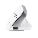 Trust Bayo+ mouse ufficio destrorso RF wireless + Bluetooth ottico 2400 DPI
