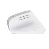 Trust Bayo+ mouse ufficio destrorso RF wireless + Bluetooth ottico 2400 DPI