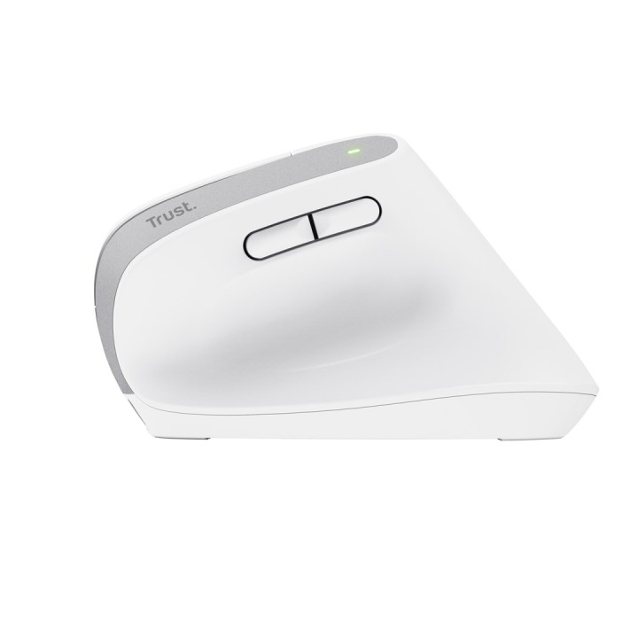 Trust Bayo+ mouse ufficio destrorso RF wireless + Bluetooth ottico 2400 DPI