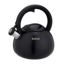 Bollitore non elettrico TEFAL N4180410 Nero opaco