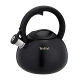 Bollitore non elettrico TEFAL N4180410 Nero opaco