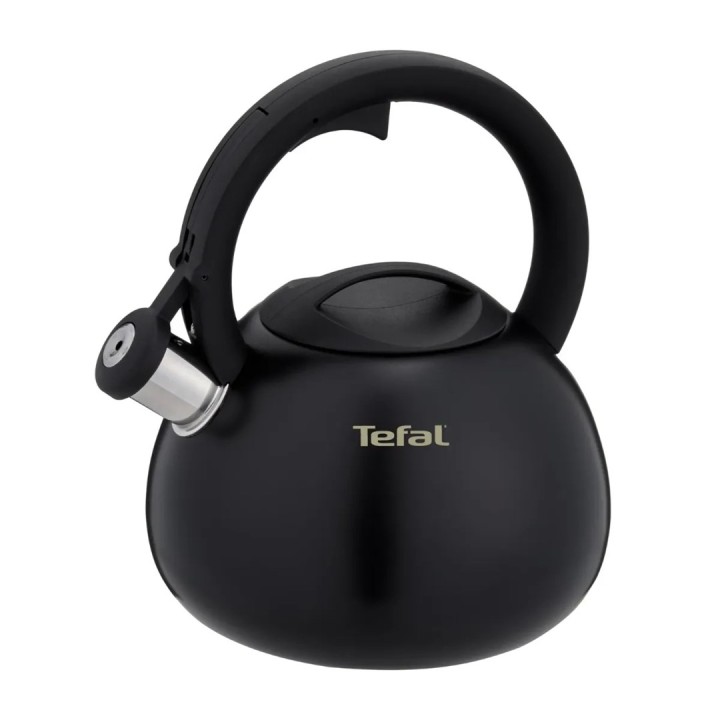 Bollitore non elettrico TEFAL N4180410 Nero opaco