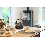 Bollitore non elettrico TEFAL N4180410 Nero opaco