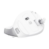 Trust Bayo II - Mouse wireless ergonomico (bianco)