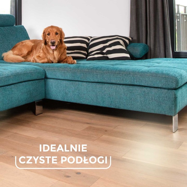 Vileda Spazzola Always Clean PET PRO