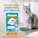 PURINA One Hydralife Pollo - snack per gatti - 50g