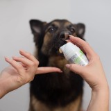VETEXPERT Caryodent Enzymatic Toothpaste - dentifricio enzimatico per cani e gatti - 50 ml