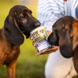VETEXPERT Raw Paleo Adult Monoprotein Anatra - cibo umido per cani - 800 g