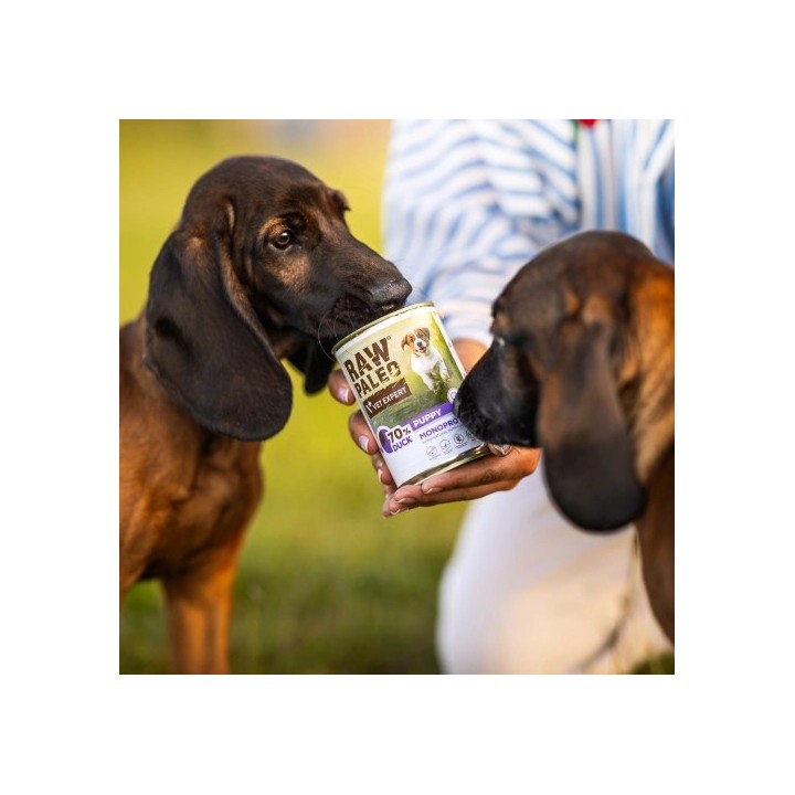 VETEXPERT Raw Paleo Adult Monoprotein Anatra - cibo umido per cani - 800 g