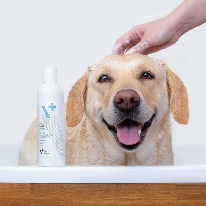 VETEXPERT Shampoo ipoallergenico - shampoo per cani e gatti - 250ml