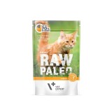VETEXPERT Raw Paleo Adult Cat Tacchino - cibo umido per gatti - 100 g