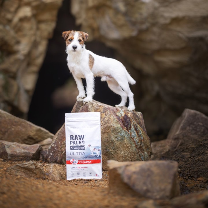 VETEXPERT Raw Paleo Ultra Mini Adult Manzo - cibo secco per cani - 2 kg