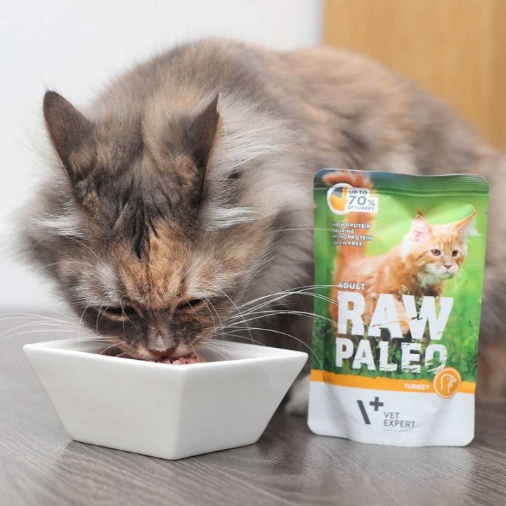 VETEXPERT Raw Paleo Adult Cat Tacchino - cibo umido per gatti - 100 g