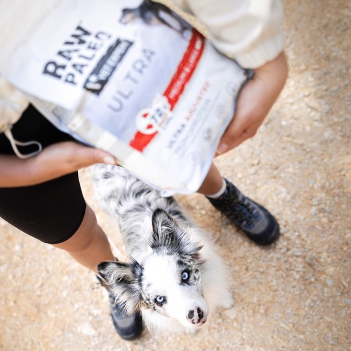 VETEXPERT Raw Paleo Ultra Mini Adult Manzo - cibo secco per cani - 2 kg