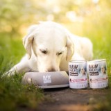 VETEXPERT Raw Paleo Adult Monoprotein Maiale - cibo umido per cani - 800 g