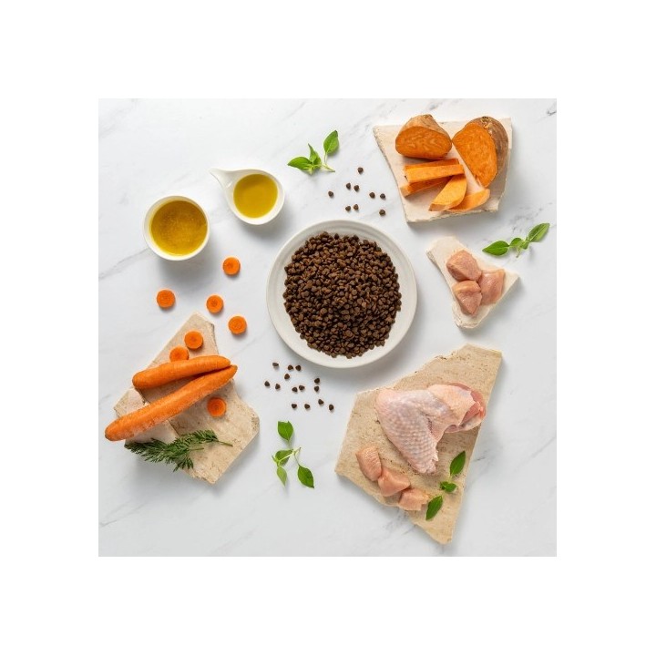 VETEXPERT Raw Paleo Ultra Mini Puppy Tacchino - cibo secco per cuccioli - 750 g