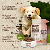 VETEXPERT Raw Paleo Healthy Grain Puppy Salmone e orzo - cibo secco per cani - 10 kg