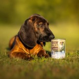 VETEXPERT Raw Paleo Puppy Monoprotein Merluzzo - cibo umido per cuccioli - 400 g