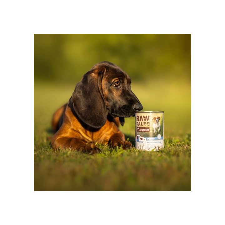 VETEXPERT Raw Paleo Puppy Monoprotein Merluzzo - cibo umido per cuccioli - 400 g