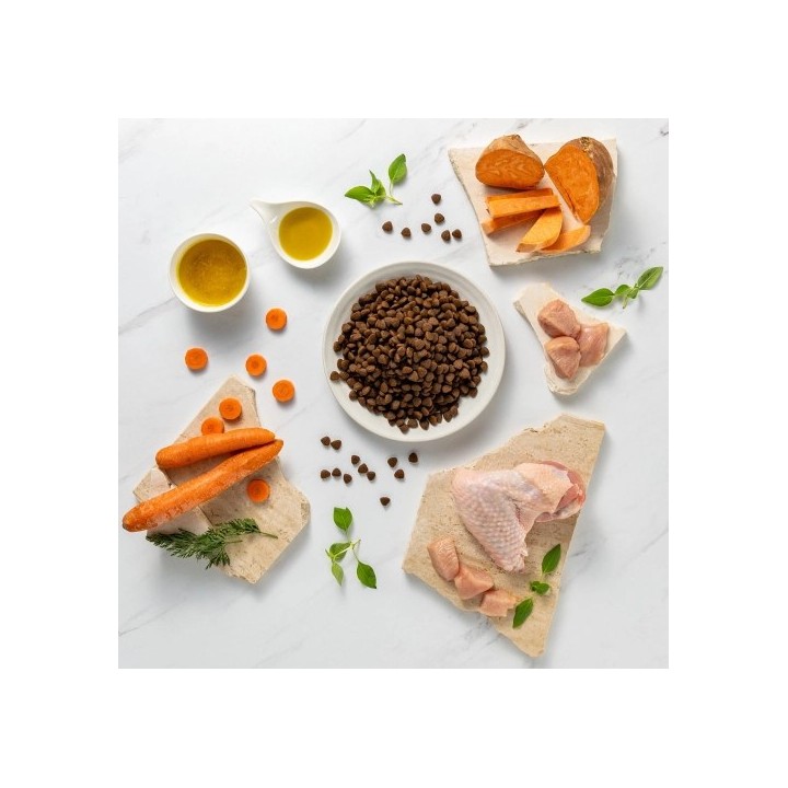 VETEXPERT Raw Paleo Ultra Medium&Large Adult Tacchino - cibo secco per cani - 10 kg