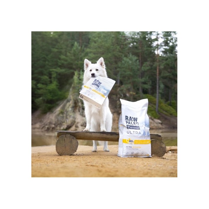 VETEXPERT Raw Paleo Ultra Medium&Large Adult Tacchino - cibo secco per cani - 10 kg