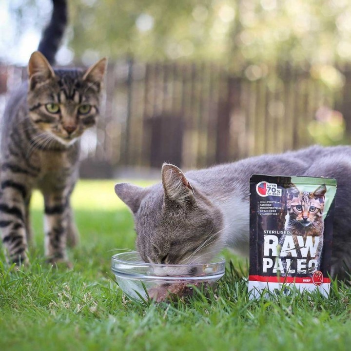 VETEXPERT Raw Paleo Adult Cat Sterilised Manzo - cibo umido per gatti - 100 g