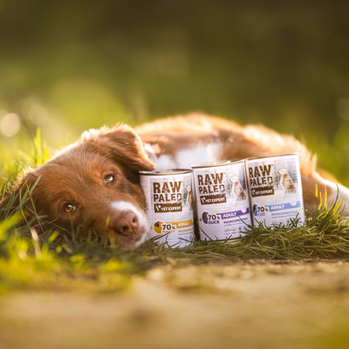 VETEXPERT Raw Paleo Adult Monoprotein Anatra - cibo umido per cani - 400 g