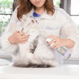 VIRBAC Allerderm Foam - shampoo per cani e gatti - 100 ml